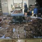 5c8a3c1c230000d50422d6ba