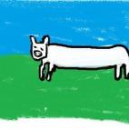 5c8a85e62500005206813e62