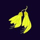 5c8a85e92300007f01233424