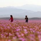 5c8b20db230000d504242ecb