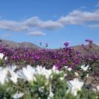 5c8b20db22000031001a5a1a