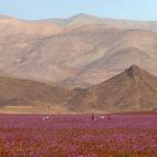 5c8b20dc360000c81a6c89ba