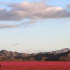 5c8b20dc2300003000e7a5b5