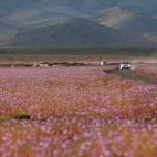 5c8b20dc2400004205a42978