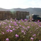 5c8b20dd22000031001a5a1e