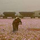 5c8b20dd2400000a05a4297a