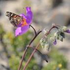 5c8b20dd2400006d054cecb4