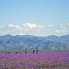 5c8b20dd2300007f01242ecd