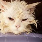 5c8a558d2500000a0681044b