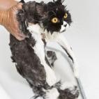 5c8a558d260000e104fe3883