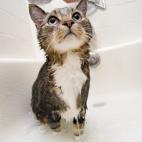 5c8a558e2000009d036f0785