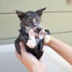 5c8a558f2400006d054bbaa7