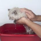 5c8a558f2500000d04c8ea87