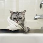 5c8a558f240000f404a2f3f9