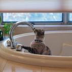 5c8a558f2300007f0122f95b