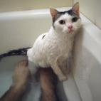 5c8a55902400006d054bbaab