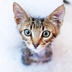 5c8a55902000009d036f078d