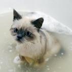 5c8a559020000045046f078f