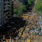 5c8a37e12400006d054b9425