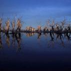 5c8ae7732400000a05a3e168