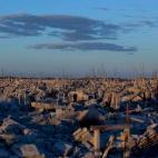 5c8ae77320000043046ff09f