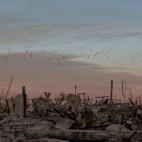 5c8ae7742500001304c9d669