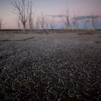 5c8ae774360000e01c6c42b0