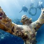 5c8a9d9325000058068161cd