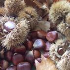 Es perfecta para untar sobre unas tostadas, para rellenar tartas y empanadillas e incluso para acompañar una carne de cerdo al horno. Aquí tienes la receta paso a paso.