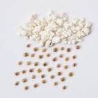 5c8b1fbc2400000a05a4255c