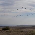 5c8b217b360000ba1a6c8b56