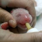 5c8ae77a3b000054066cc369