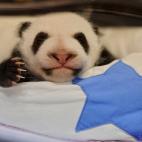 5c8ae77a2400006d054ca5a5