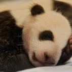 5c8ae77b230000dd0423e648