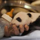 5c8ae77b22000031001a1246