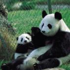 5c8ae77c24000093024ca5a7