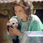 5c8ae77c2000009e046ff0a5