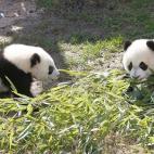 5c8ae77d360000ba1a6c42b6