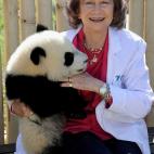 5c8ae77e230000dd0423e64e