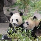 5c8ae77e2400006b054ca5a9