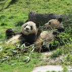 5c8ae77f2500000704c9d673