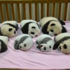 5c8acdd420000045046fc7b5