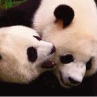 5c8acdd53b000070066c9a6d