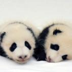 5c8acdd53b000002076c9a6f