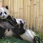 5c8ae77f230000dd0423e650