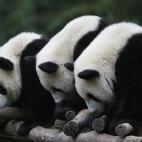 5c8acdd52400000a05a3b7ec