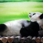 5c8acdd62500000704c9ad72