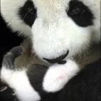 5c8acdd6250000bd0581c770