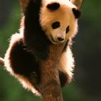 5c8acdd62500000d04c9ad75