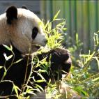 5c8ae7802400000a05a3e172